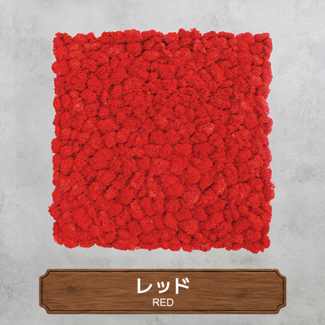 モスパネル