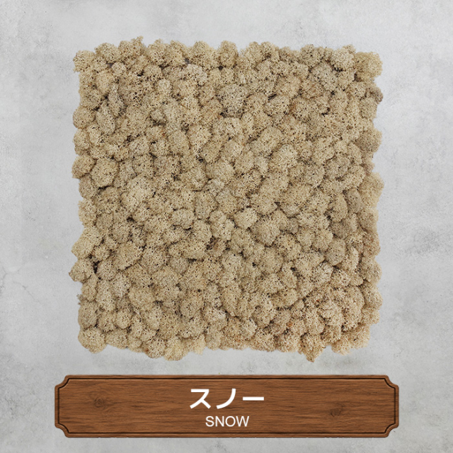 モスパネル