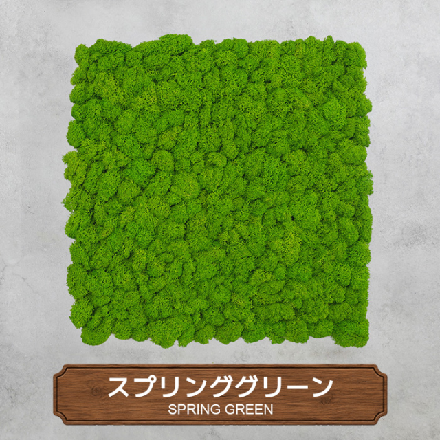 モスパネル