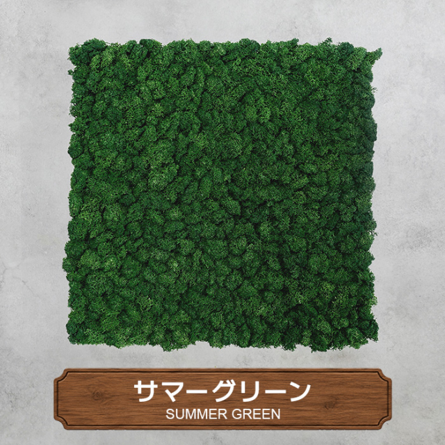 モスパネル