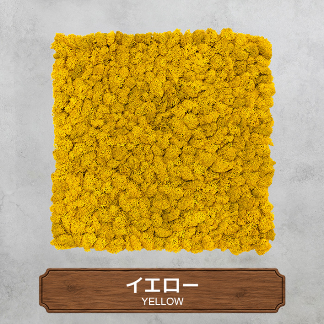 モスパネル