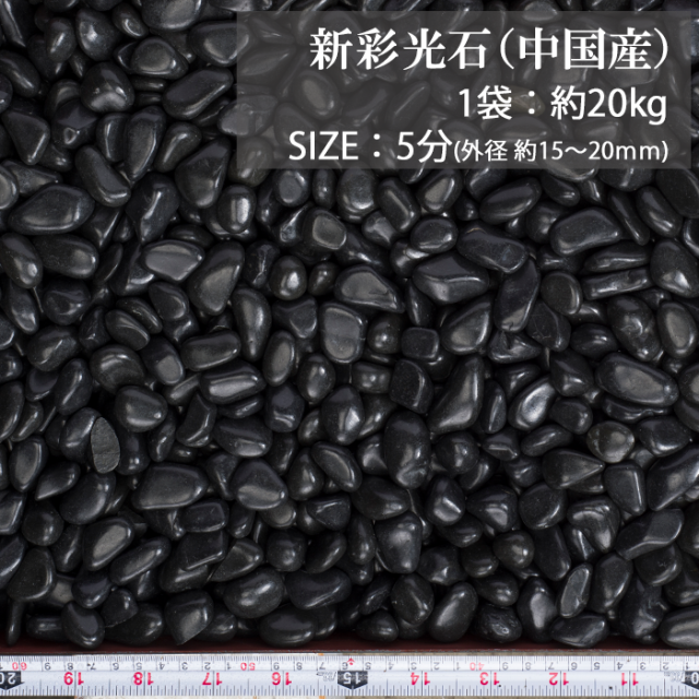 新彩光石／5分／ドライ