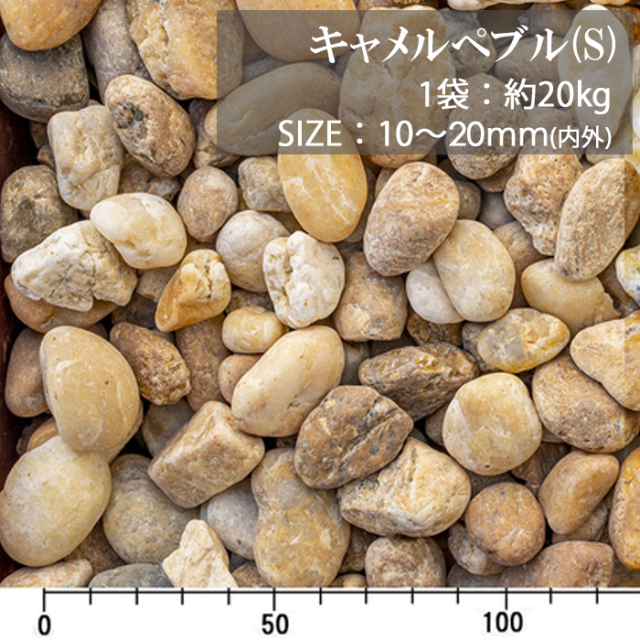 キャメルぺブル ／S／ドライ