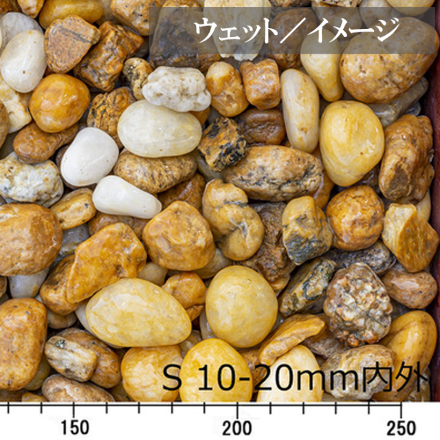 キャメルぺブル ／S／ウェット