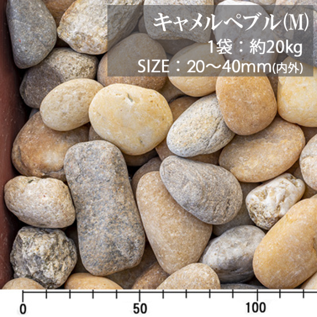 キャメルぺブル ／M／ドライ