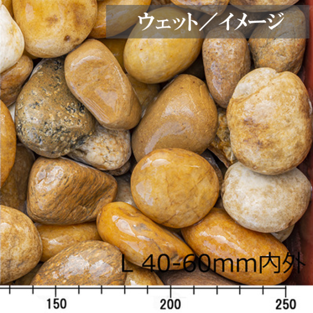 キャメルぺブル ／L／ウェット