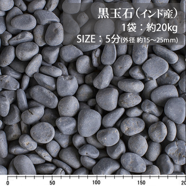 黒玉石（インド産） ／5分／ドライ