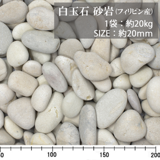 白玉石　砂岩／20ｍｍ／ドライ