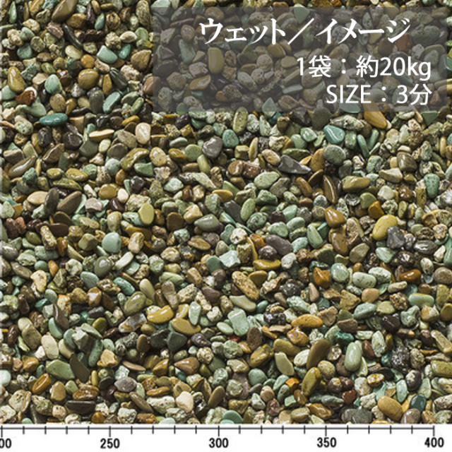 天草／3分／ウェット