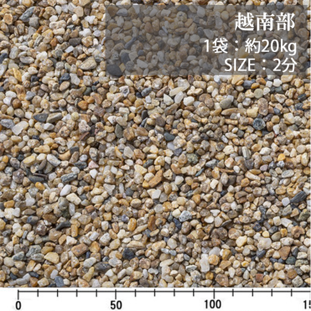 越南部／2分／ドライ