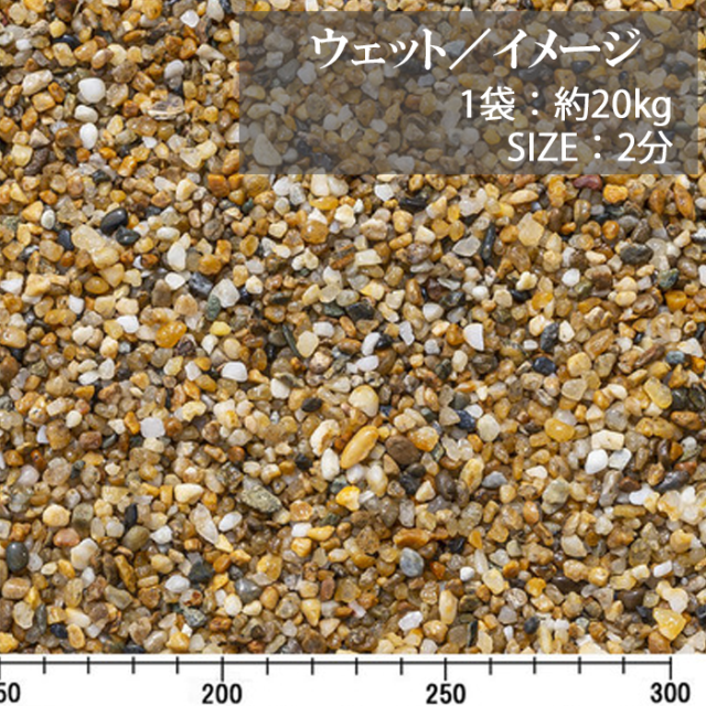 越南部／2分／ウェット