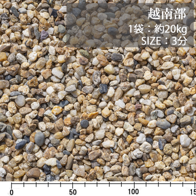 越南部／3分／ドライ