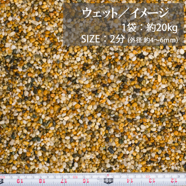 フリージア／2分／ウェット