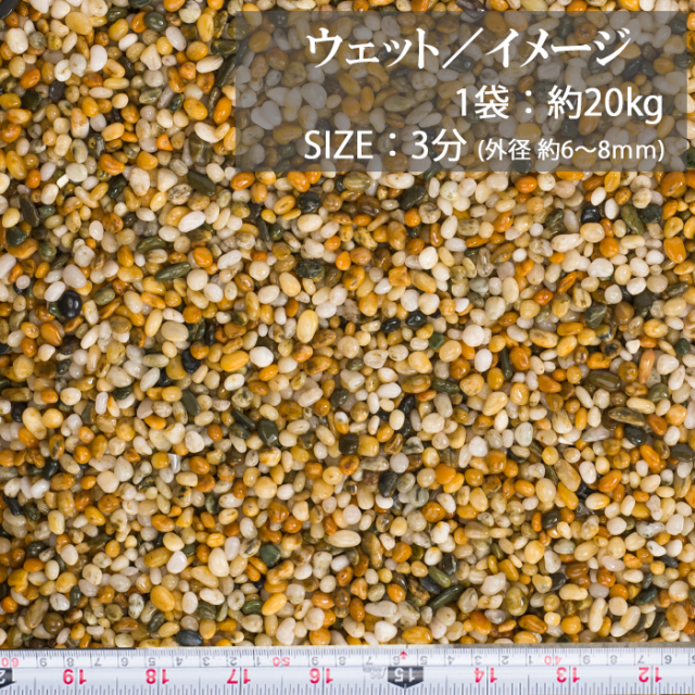 フリージア／3分／ウェット