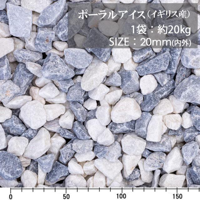 ポーラルアイス／ドライ