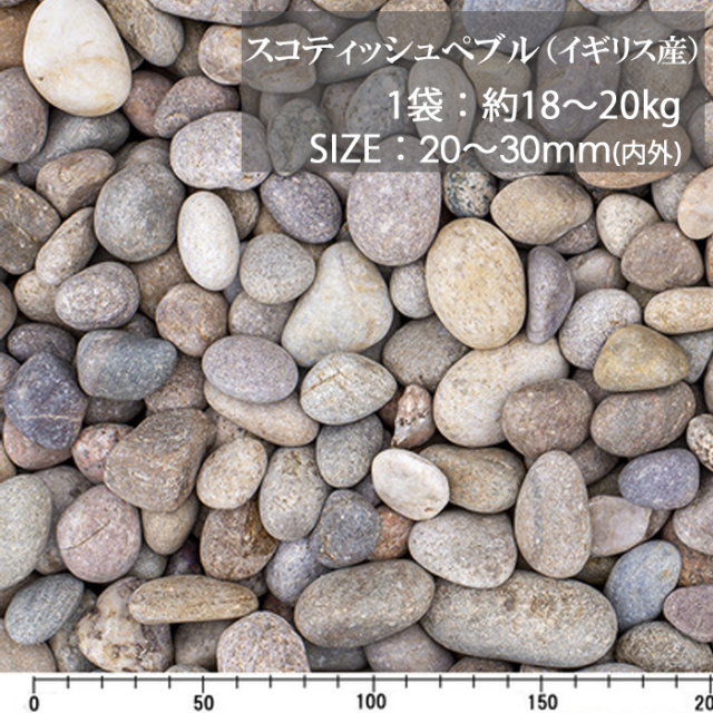 スコティッシュぺブル／20-30ｍｍ／ドライ