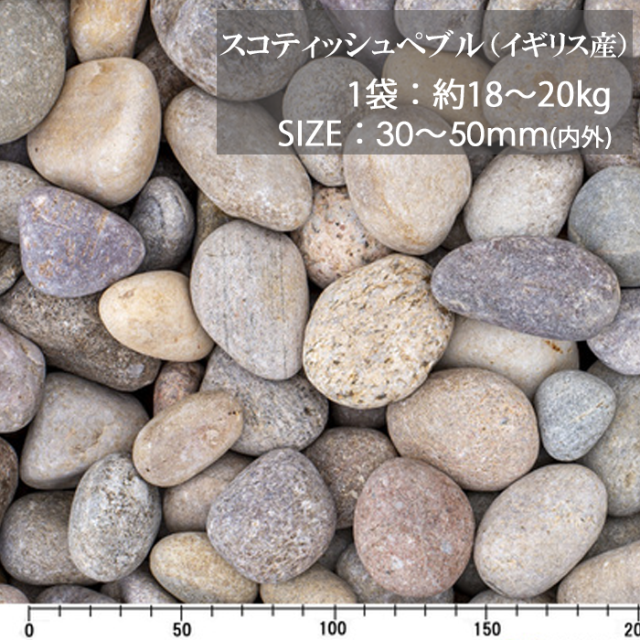 スコティッシュぺブル／30-50ｍｍ／ドライ