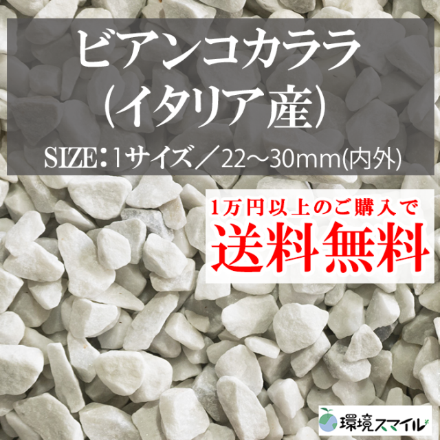 防草パッチ グリーン(50枚入)