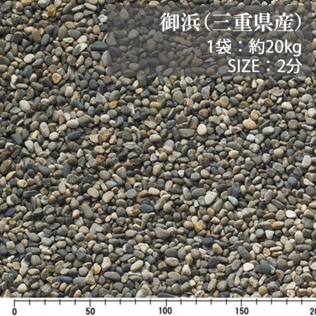 御浜／2分／ドライ