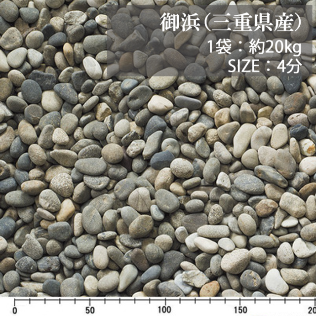 御浜／4分／ドライ