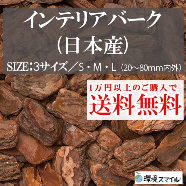 インテリアバーク