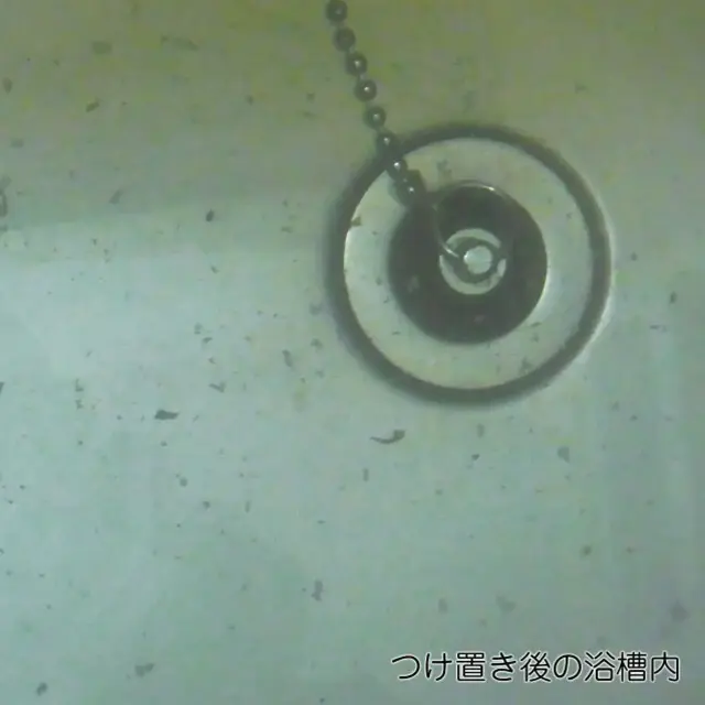 フィトンα 風呂釜クリーナー（除菌）