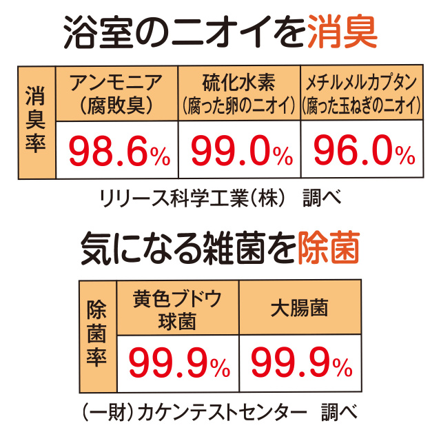 フィトンα風呂床クリーナー