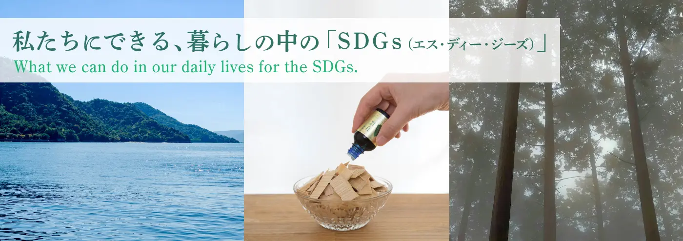 2025・サスティナブルSDGs・バナー