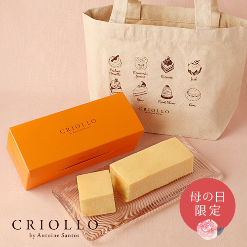 トートバック付き幻のチーズケーキ