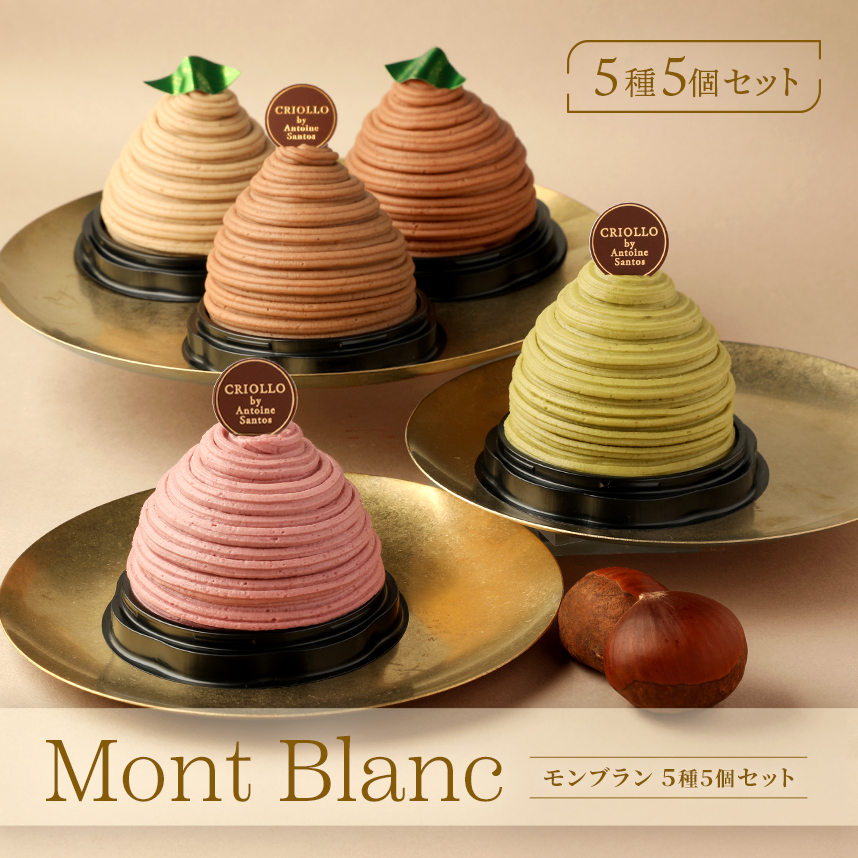 【季節限定】モンブラン 5種5個セット