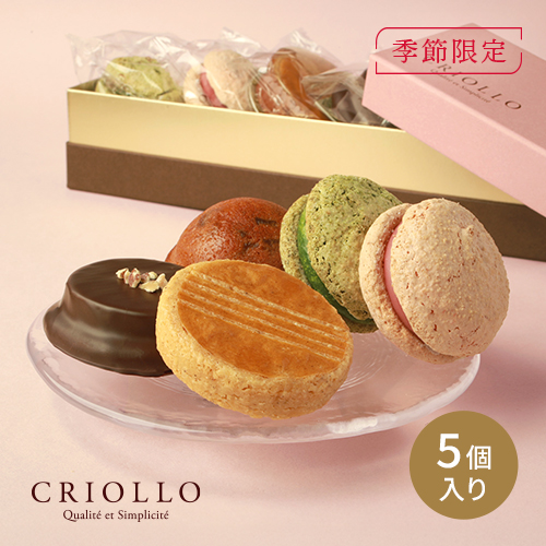 スプリングセット