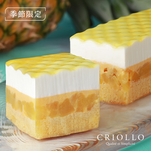【季節限定】アナナス・ココ（パイナップルとココナッツムースのケーキ）【レクタ（長方形ケーキ）】【冷凍便】【朝9時までの注文・日時指定で当日出荷可】※9月7日までのお届け※オンライン限定