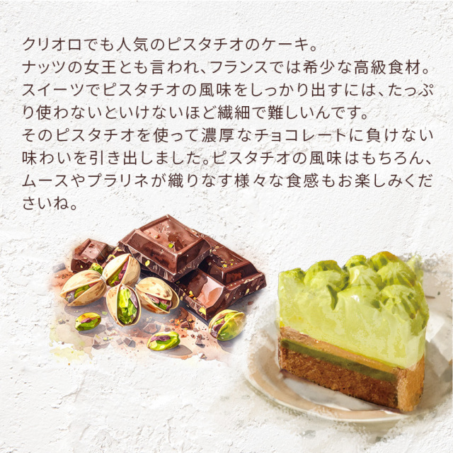 【クリスマス】スリム・ピスターシュ・ショコラ12cm