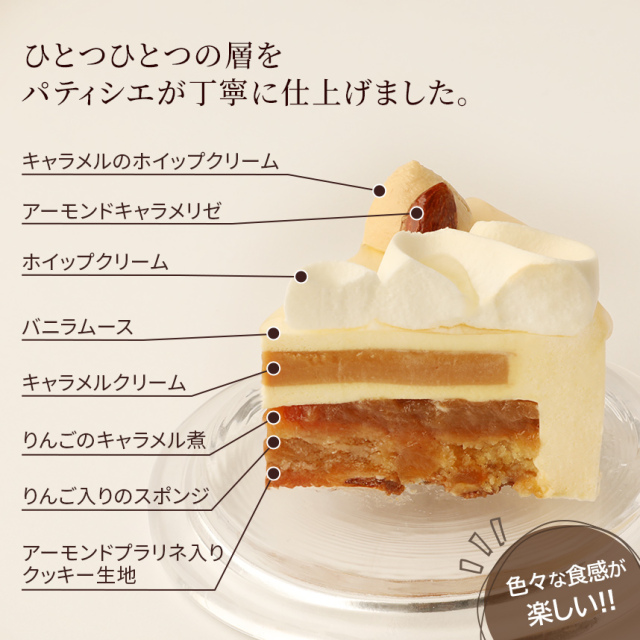 【クリスマス】タタン・ヴァニーユ・ノエル15cm