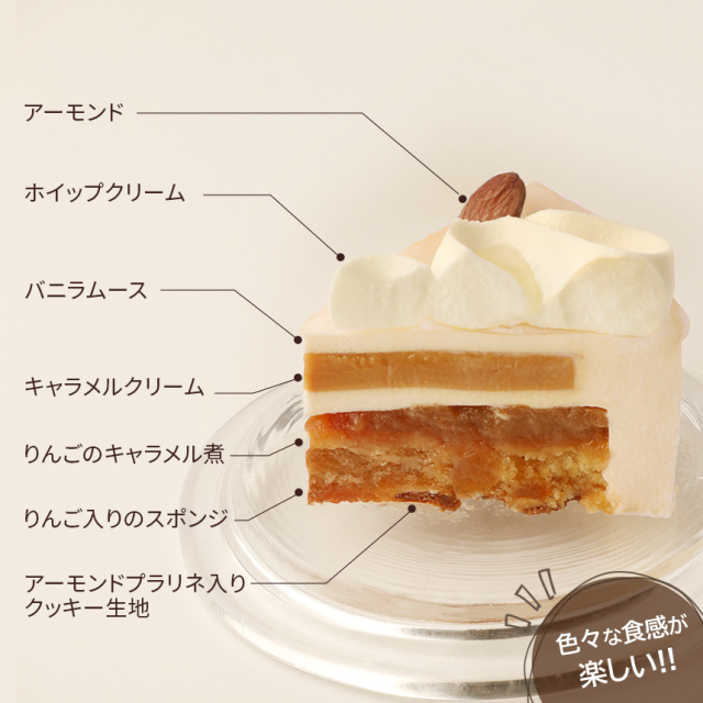 【クリスマス】オンラインショップ限定：タタン・ヴァニーユ・ノエル15cm