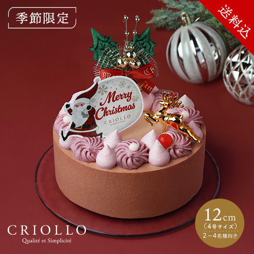 【予約商品・12月1日出荷開始】【送料込】ショコラ・フランボワーズ・ノエル（12cm）【2026ノエル】【冷凍便】※12月2日～26日までのお届け