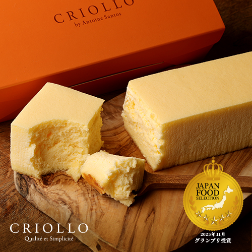 幻のチーズケーキ【レクタ（長方形ケーキ）】【冷凍便】【朝9時までの注文で当日出荷可】JFSグランプリ受賞