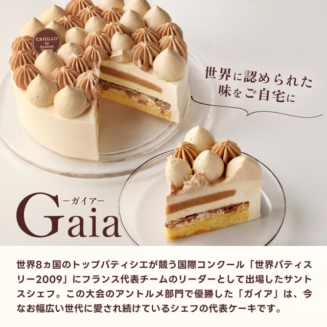 幻のガイアチーズケーキ