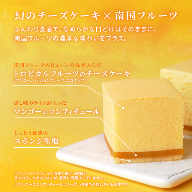 季節限定】幻のマンゴートロピカルチーズケーキ【レクタ（長方形ケーキ