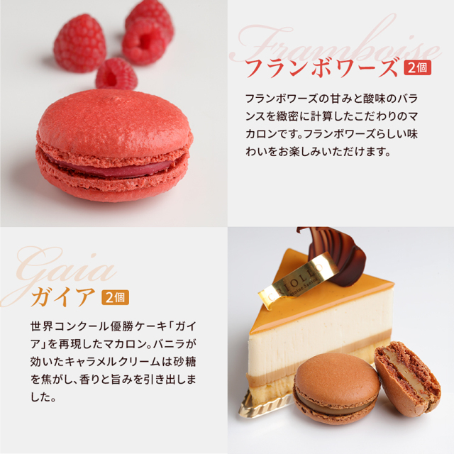 マカロン セバスチャン・ブイエ マカロン12個 ギフトカード – AOYAMA GIFT