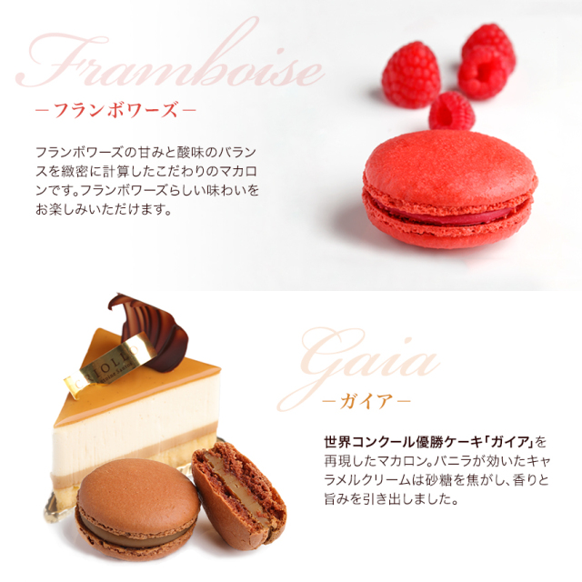 マカロン】パティシエセット(5個入り)（ショコラ・ガイア