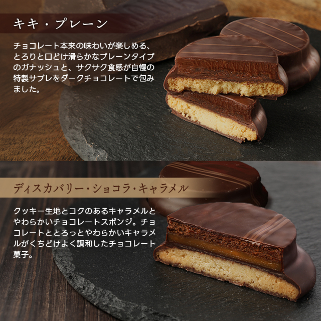 キキ・ディスカバリー
