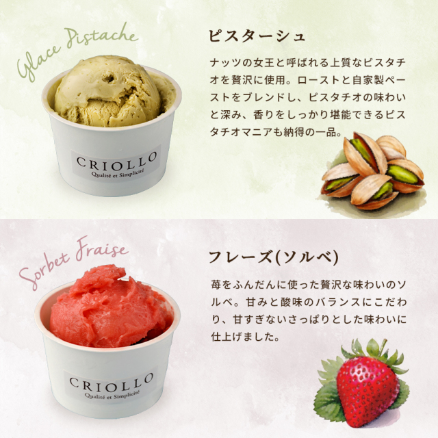アイス 6個セット（ピスターシュ/フレーズ/バニラ/ショコラ/プラリネ
