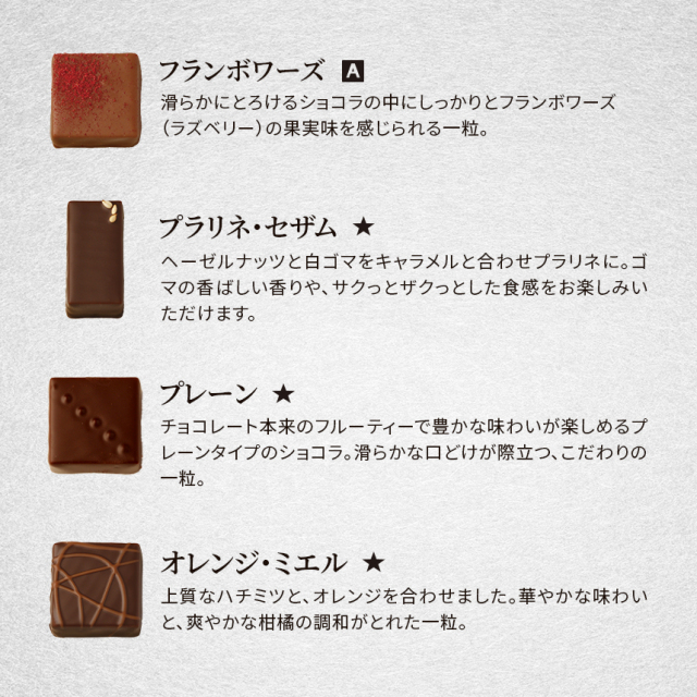 チョコレート】サントス・セレクト ボンボンショコラ 10粒入り詰め合わせ