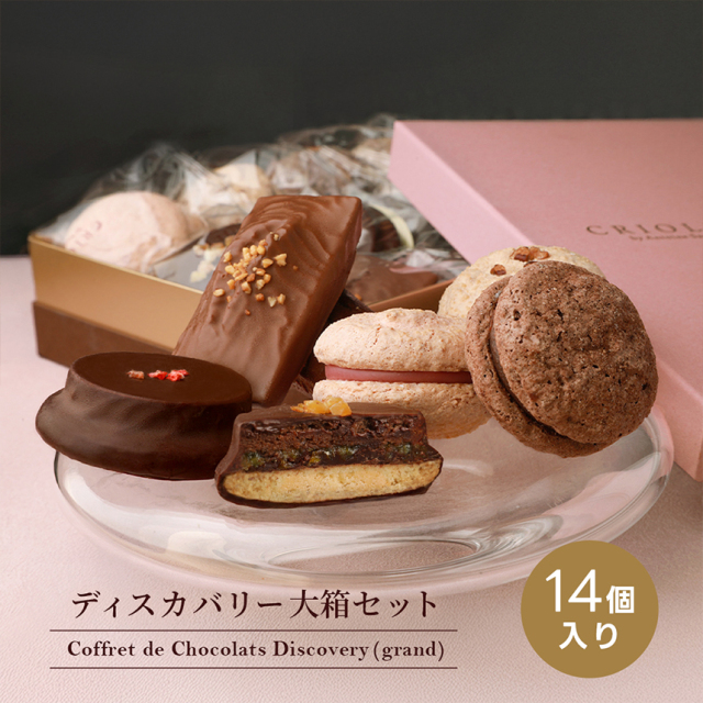 焼き菓子】ディスカバリー・ショコラ 大箱セット（ディスカバリー