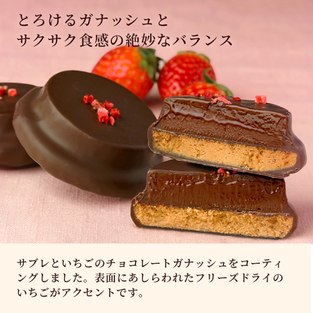 ディスカバリー・ショコラ・フレーズ