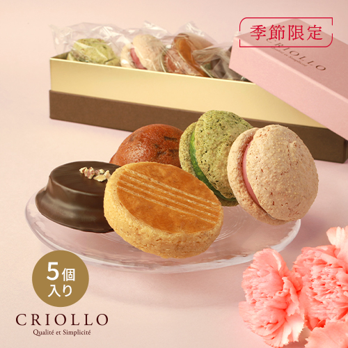 スプリングセット