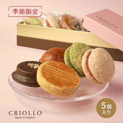 スプリングセット