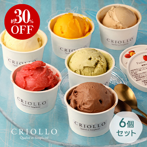【4/24 20:00～4/26まで通常価格より30%OFF】【単品配送・同梱不可】アイスクリーム＆ソルベ 6個セット（ピスターシュ/フレーズ/バニラ/ショコラ/プラリネ・ノワゼット/マンゴー）【冷凍便】【2～5営業日で出荷】