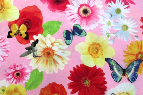 凄安 発色が綺麗なデジタルプリント コットンブロード 花と蝶とハチドリ ピンク 生地通販 布販売 江戸ッ子